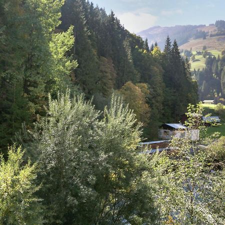Apartment In Salzburgerland Near The Ski Area Viehhofen Buitenkant foto