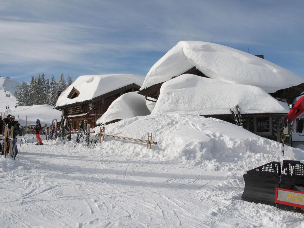 Apartment In Salzburgerland Near The Ski Area Viehhofen Buitenkant foto
