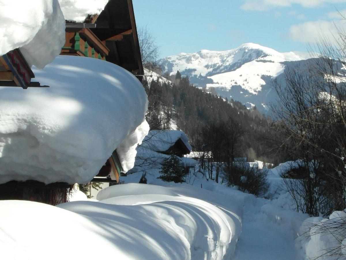 Apartment In Salzburgerland Near The Ski Area Viehhofen Buitenkant foto