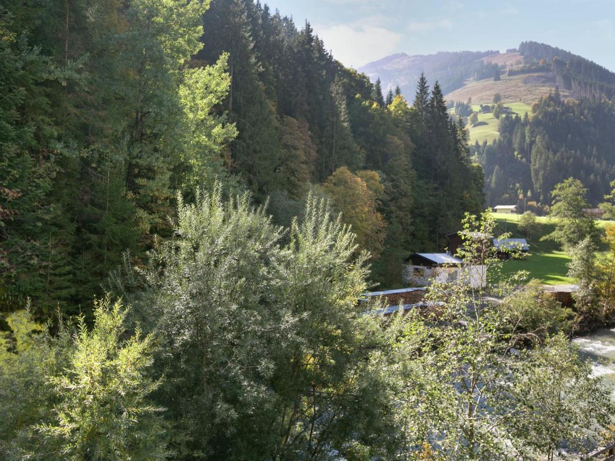 Apartment In Salzburgerland Near The Ski Area Viehhofen Buitenkant foto
