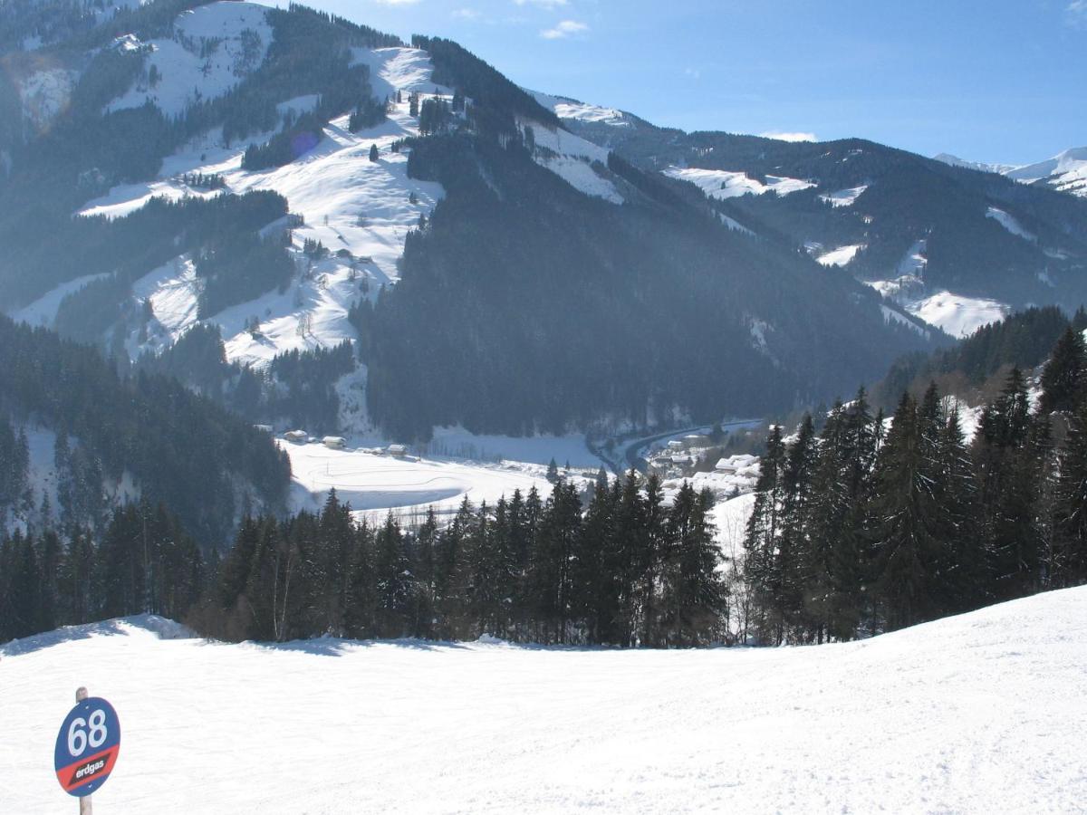 Apartment In Salzburgerland Near The Ski Area Viehhofen Buitenkant foto